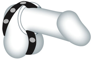 Svart läderrem med tre justerbara kukringar och silverknoppar; utformad som en penis- och testikelhållare.