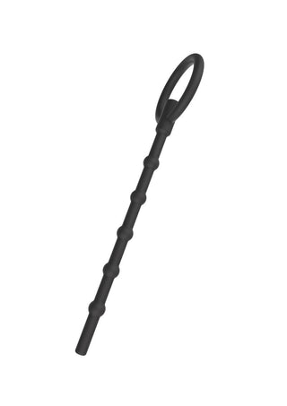Hidden Desire 2-Pack Dilatorer inkluderar en svart, långsträckt silikonstav med åtskilda utbuktningar och ett ögla handtag, perfekt för utforskning.