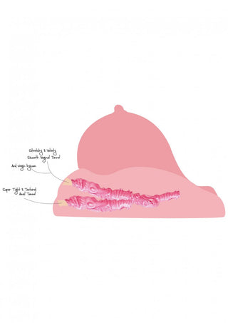 En illustration visar en avslappnad kontra en tät, strukturerad vaginaltunnel. Det rosa-tonade diagrammet, komplett med anteckningar om tunneltillstånd, framhäver Bangers Bröst Med Lösvagina-upplevelsen, tillverkad av Realistic Love Skin för autenticitet.