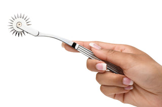 Wartenberg Wheel Silver BDSM