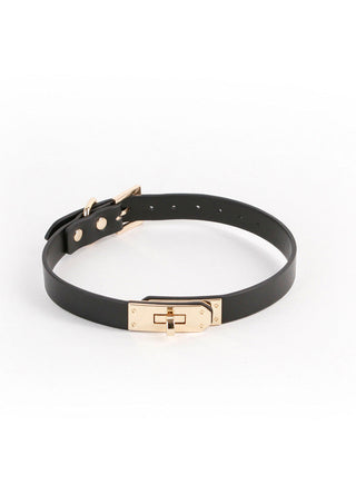 Ett svart läderbälte med guldbeslag och ett rektangulärt spänne, som liknar det eleganta Fetish & Fashions Sadie Halsband, är satt mot en vanlig vit bakgrund. Den har flera justeringshål och en minimalistisk design som är perfekt för alla mode eller diskreta fetischäventyr.