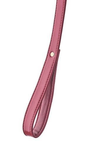Röd Blaze Elite Halsband