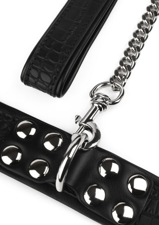 Svart läderhalsband med silverfärgade nitar och matchande koppel med krokodilprägling på vit bakgrund.