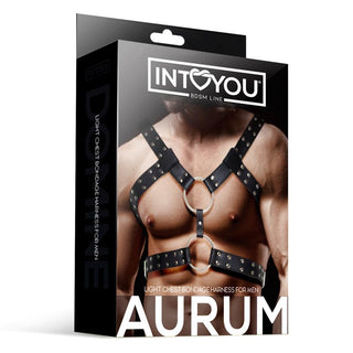 En låda med en manlig modell i INTOYOU Bröstsele med O-Ringar – en svart bondage-bröstsele med metallringar och dubbar, perfekt för alla BDSM-garderob.