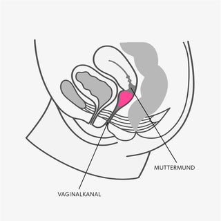 Ett tyskt diagram över kvinnlig bäckenanatomi visar livmoderhalsen (Muttermund) och vaginalkanalen (Vaginalkanal), vilket visar hur Fun Cup Menskopp B, tillverkad av hypoallergen medicinsk silikon, sitter bekvämt i kroppen.