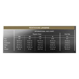 Penthouse Lingerie's internationella storlekstabell för S/M, M/L, L/XL, XL och One Size hjälper dig att hitta den perfekta passformen för Vit Bodystocking Med Strumpeband i spets eller fisknätsmönster.