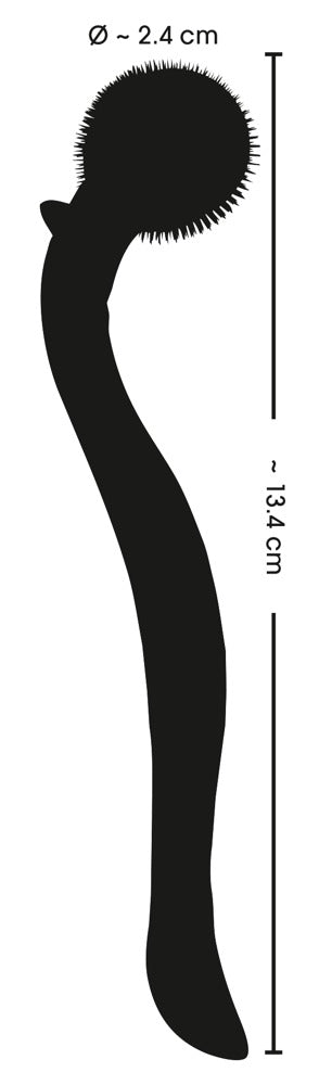 En smal, böjd struktur med en rundad topp, som ett Micro Pinwheel, har små spikar. Den har en toppdiameter på cirka 2,4 cm och en total längd på cirka 13,4 cm.
