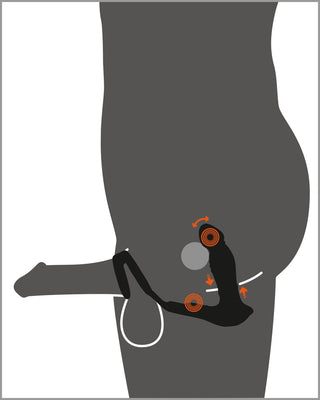 Diagram över Prostatavibrator Med Fjärrkontroll Rebel som förs in analt och stimulerar både prostata och mellangården, bredvid en penis.