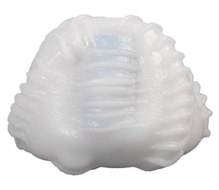 Vit trilobitmodell i plast sedd uppifrån mot en vit bakgrund, som påminner om den strukturerade ytan på Vibeggs Twisty Tongues Sleeve.