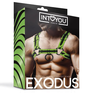 Shining Line Glow Bondage Harness-boxen föreställer en man i en grön sele av veganskt läder, med EXODUS och INTOYOU Shining Line-text.