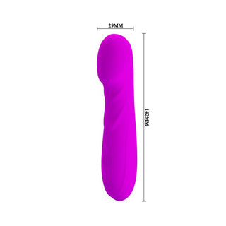 Pretty Love Reuben Minivibrator