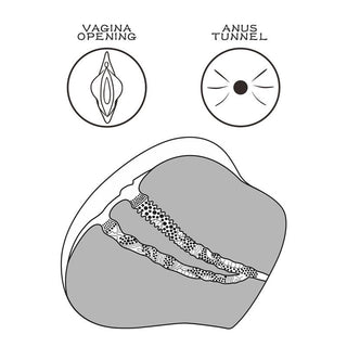Streetgirls 4 Dubbel Masturbator, transparent TPE; tvärsnittsbilden visar den inre strukturen och konstruktionen med två kanaler.