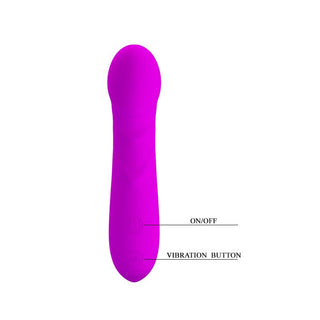 Pretty Love Reuben Minivibrator