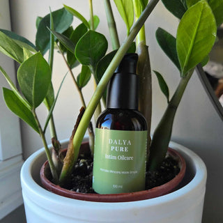 Dalya Pure Intim Oilcare 100 ml flaska, genomskinlig med vit pump och etikett, placerad i en vit keramikkruka.