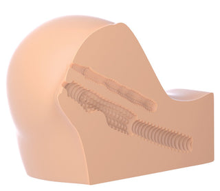 En detaljerad anatomisk modell, gjord med Realistiskt material, visar upp de intrikata muskelfibrerna och vävnaden i en mänsklig höft för en autentisk pedagogisk upplevelse.